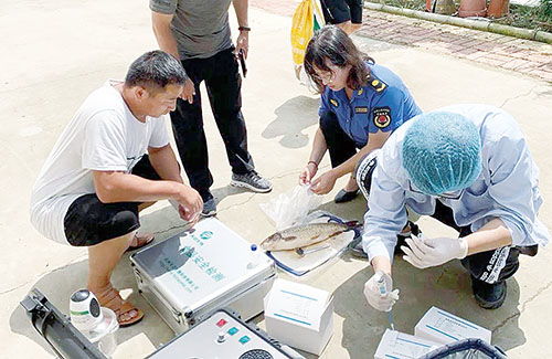 山东莱西市水产服务中心 筑牢渔业环境与水产品质量安全双防线